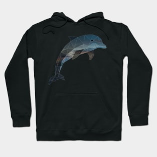 Dolphin Low Poly Double Exposure Art Hoodie